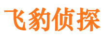 保亭市侦探调查公司